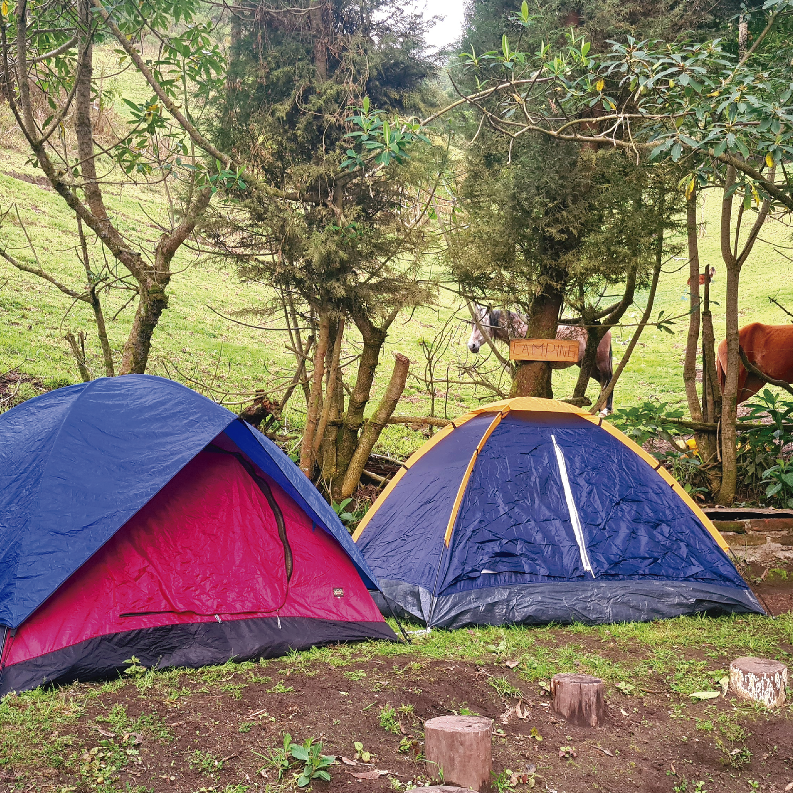 Camping cerca de Quito Camping Quito Camping Pululahua Noche de aventura con fogata y malvaviscos en nuestra zona de camping, ubicada en Calacali- Ecuador, cerca de Quito. disfruta de una espectacular noche de camping en las estribaciones del volcán Pululahua, acompañado de una noche estrellada, una gran fogata y la buena compañía de tus amigos y familia que junto a muchas sorpresas harán de tu estadía en nuestras instalaciones sea mágica única. Camping Pululahua Noche de aventura con fogata y malvaviscos en nuestra zona de camping, ubicada en Calacali- Ecuador, cerca de Quito. Camping cerca de Quito Camping Quito Camping Pululahua Noche de aventura con fogata y malvaviscos en nuestra zona de camping, ubicada en Calacali- Ecuador, cerca de Quito.